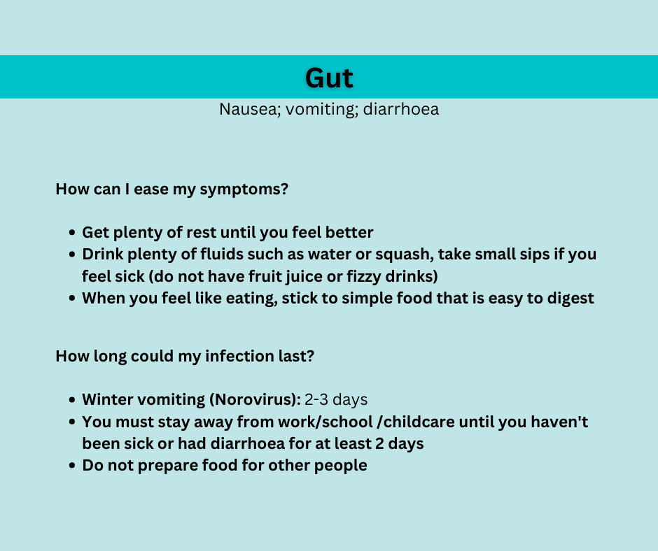 Gut